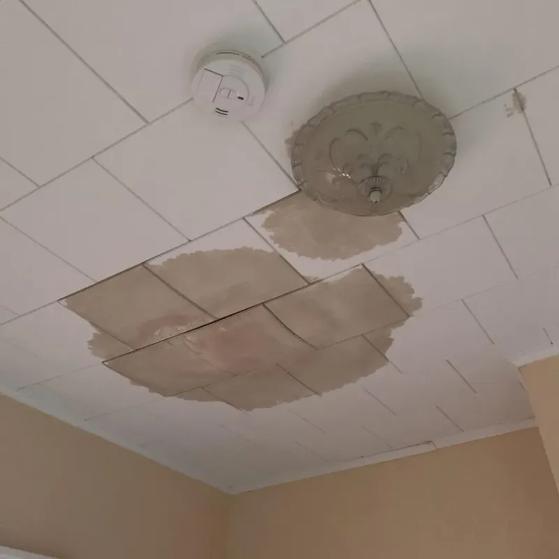 Ceiling Water Damage Repair in Southampton, NY